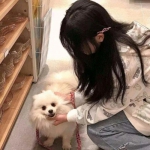 星灵之森曙光手游下载