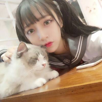 王牌高校4399版下载